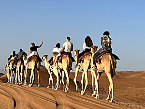 Kamelreiten Oman - Kamel Safari Oman in Wahiba Sands
