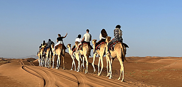 Kamelreiten Oman - Kamel Safari Oman in Wahiba Sands