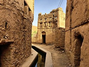 Fotoreise OMAN - Fotosafari - TOM ANG