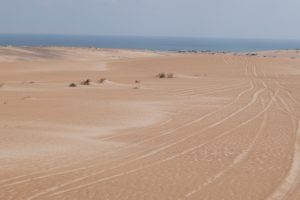 Fotoreise OMAN - Fotosafari - TOM ANG