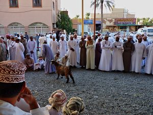 Fotoreise OMAN - Fotosafari - TOM ANG