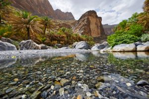 Fotoreise OMAN - Fotosafari - TOM ANG