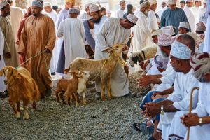 Fotoreise OMAN - Fotosafari - TOM ANG