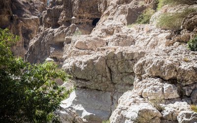 Die schönsten Wadis – Wadi Shab und Tiwi