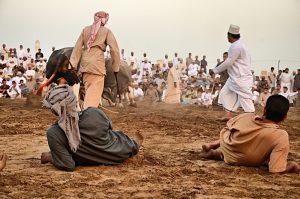 Bullfighting3