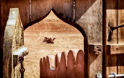 Eine Nacht im Safari Desert Camp – stargazing