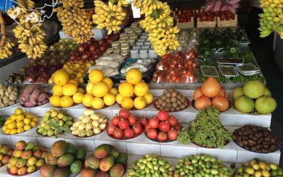 Oman Urlaub  |  Sommerferien – Familienurlaub