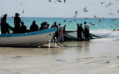 Ost-Salalah und Mirbat Tour – Sumhuram Ruinen