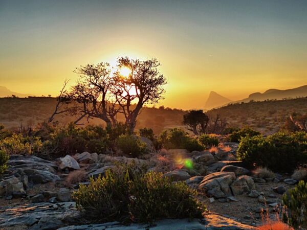 Muscat Jabal Shams der Berg der Sonne – Bild 3