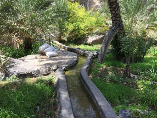 Muskat - Misfat Al Abriyeen und Berg Dschabal / Jebel Schams – Bild 7