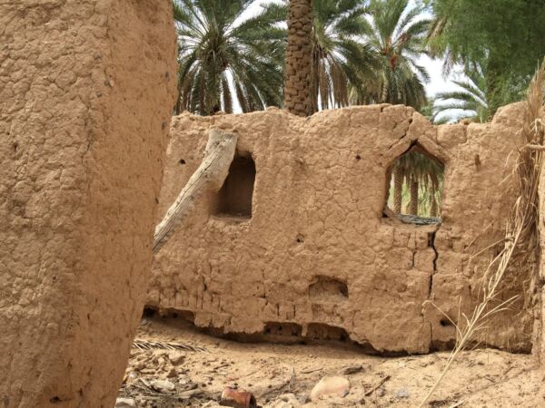 Muskat - Misfat Al Abriyeen und Berg Dschabal / Jebel Schams – Bild 6
