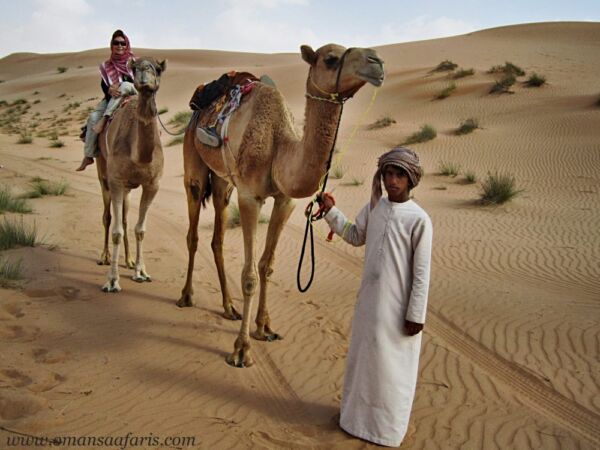 Kamelreiten Oman - Kamel Safari Oman in Wahiba Sands – Bild 5
