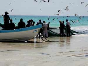 Salalah Oman Ausflüge