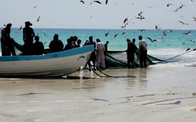 Al Mughsail Strand und West-Salalah