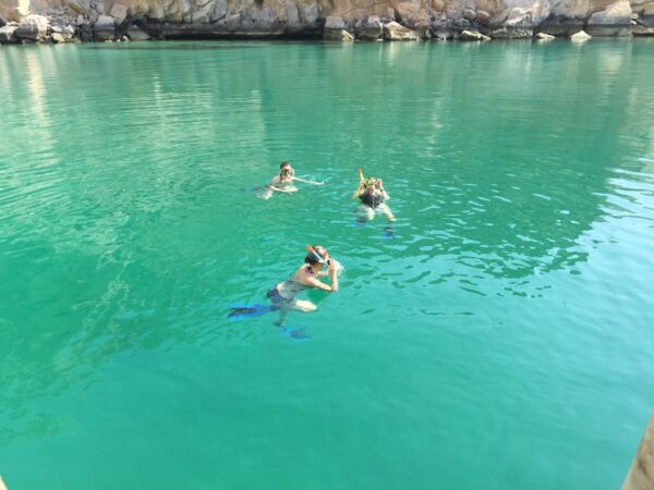 Al Chasab Oman Musandam - Dhow Boot Fahrt, Delfine und schnorcheln – Bild 3