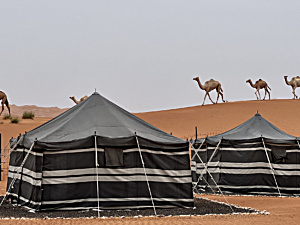 Desert Camp Oman